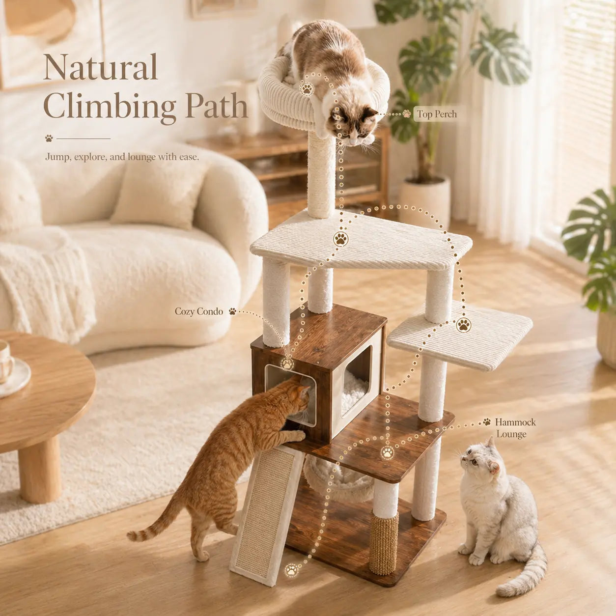 Purrlato 61-Inch Solid Wood Cat Tree - Heavy-Duty Modern Cat Tower with Extra Large Top Perch, Sturdy Scratching Posts, and Spacious Condo