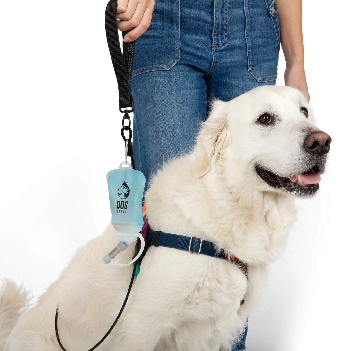 Dog Straw – Portable Dog Water Pouch with Stainless Steel Sipper - Lightweight, Lick-To-Sip, Perfect for Walks, Hikes & Travel. Adventure-Ready Hydration for Dogs on the Go.