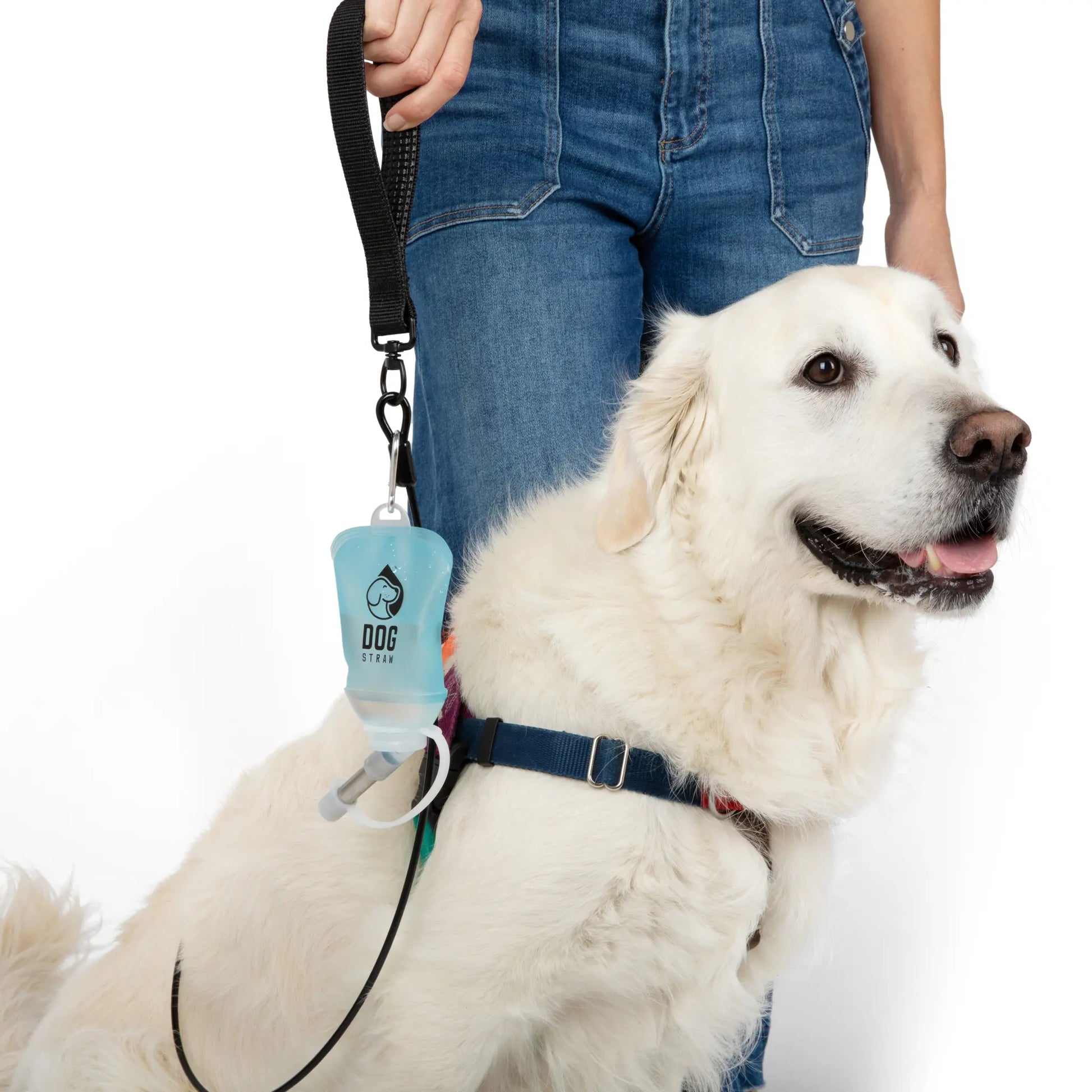 Dog Straw – Portable Dog Water Pouch with Stainless Steel Sipper - Lightweight, Lick-To-Sip, Perfect for Walks, Hikes & Travel. Adventure-Ready Hydration for Dogs on the Go.
