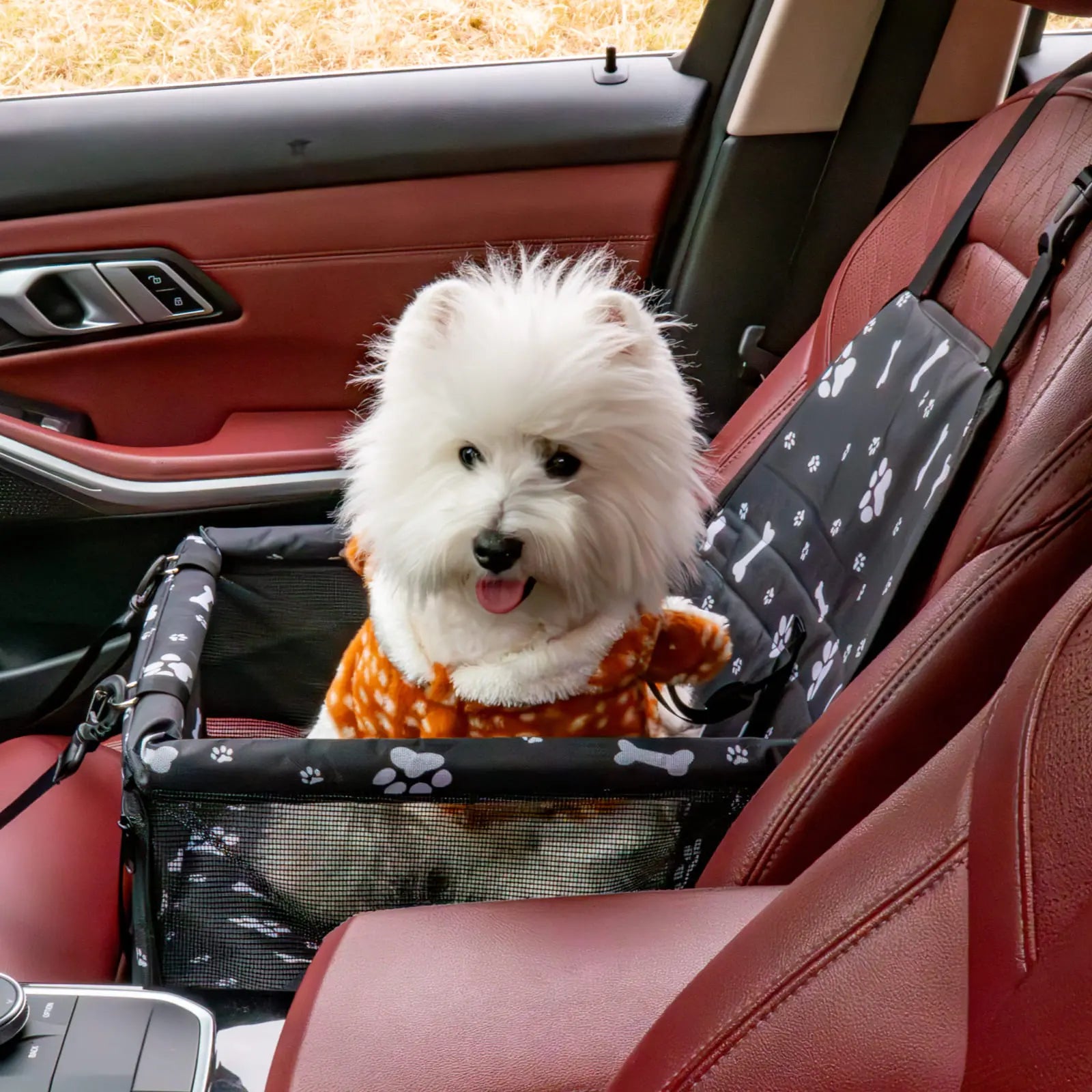 Pet Car Seat - Foldable Travel Safety Booster for Cats and Dogs | Breathable, Easy-to-Clean Design with Spacious Interior | Compatible with Front and Back Seats, Effortless Assembly