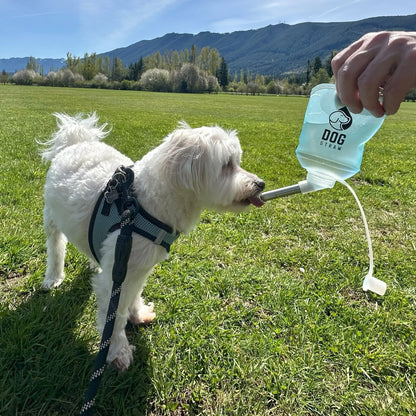 Dog Straw – Portable Dog Water Pouch with Stainless Steel Sipper - Lightweight, Lick-To-Sip, Perfect for Walks, Hikes & Travel. Adventure-Ready Hydration for Dogs on the Go.
