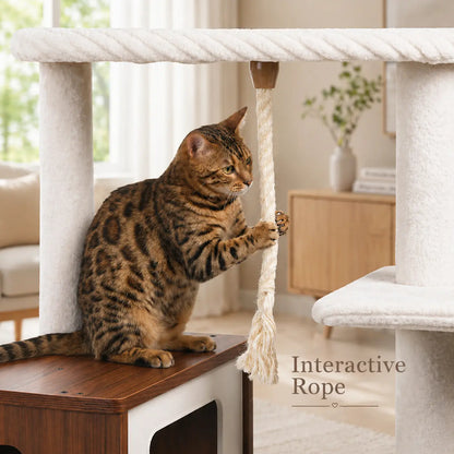 Purrlato 61-Inch Solid Wood Cat Tree - Heavy-Duty Modern Cat Tower with Extra Large Top Perch, Sturdy Scratching Posts, and Spacious Condo