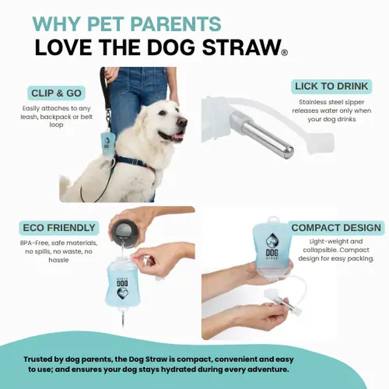 Dog Straw – Portable Dog Water Pouch with Stainless Steel Sipper - Lightweight, Lick-To-Sip, Perfect for Walks, Hikes & Travel. Adventure-Ready Hydration for Dogs on the Go.